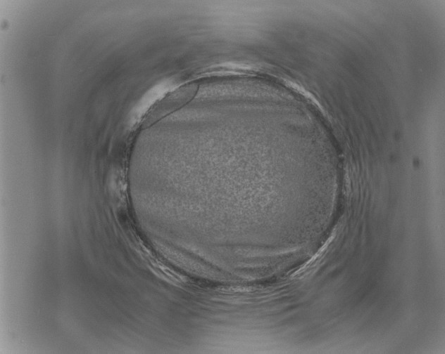 X0000071861355200607141805