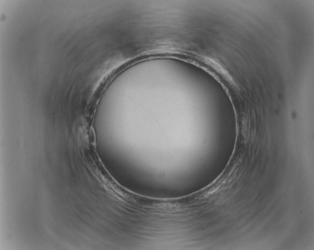 X0000071861356200607141805