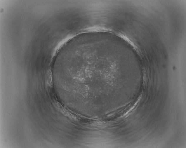 X0000071861358200607141805