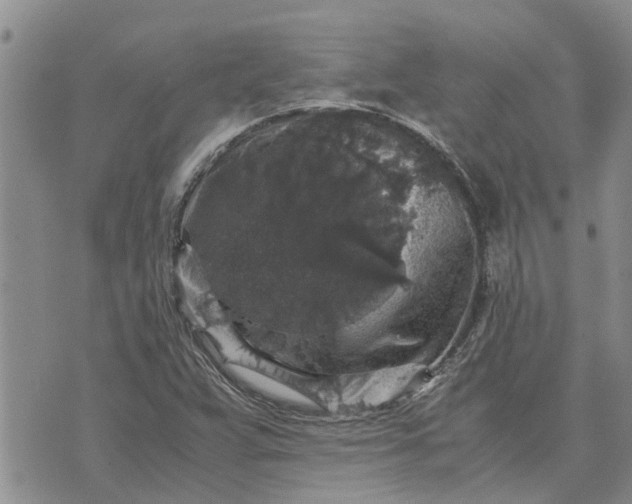 X0000071861359200607141805