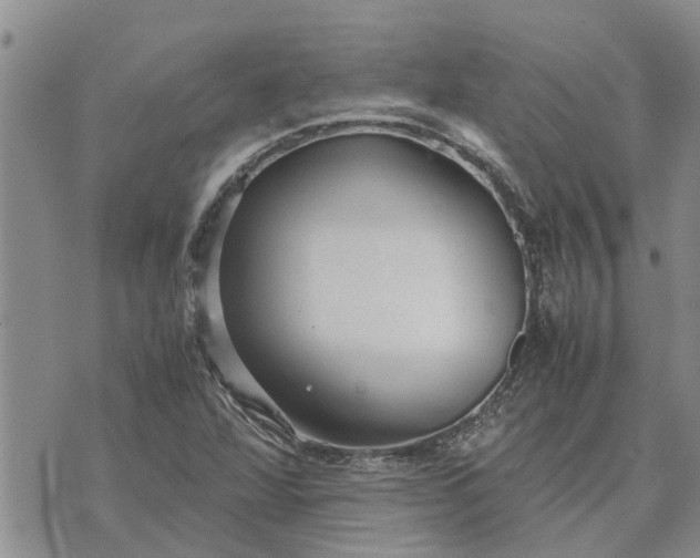 X0000071861360200607141805