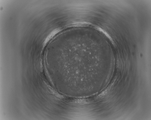 X0000071861362200607141805