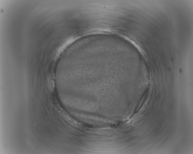 X0000071861363200607141805