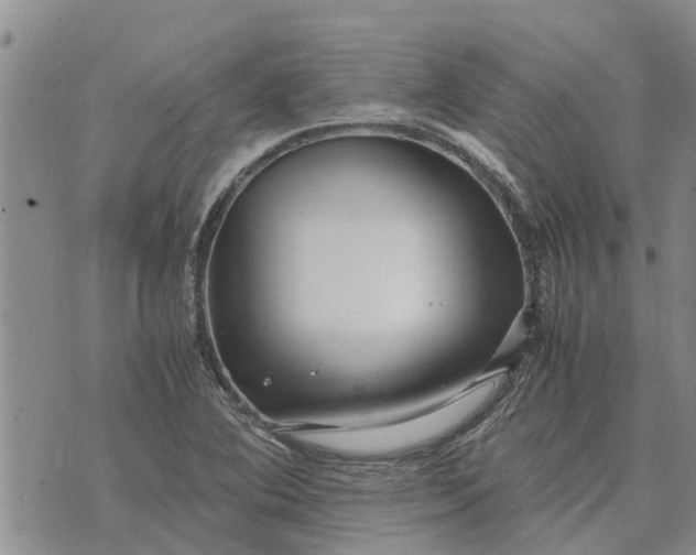 X0000071861364200607141804