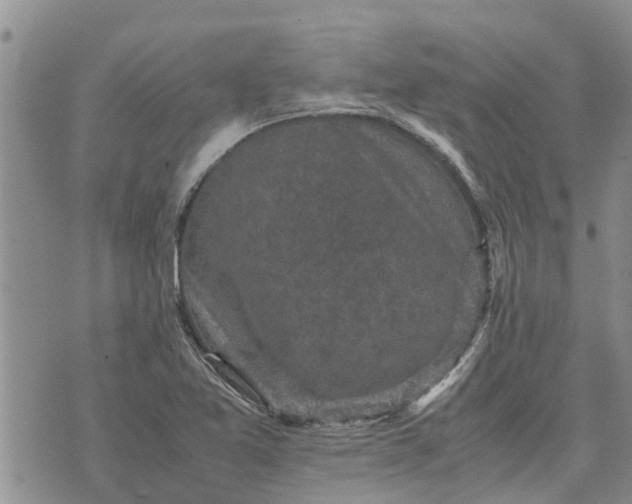 X0000071861365200607141804