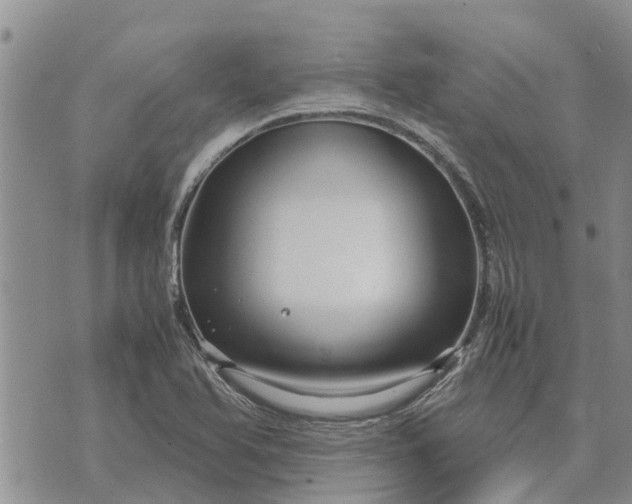 X0000071861366200607141804