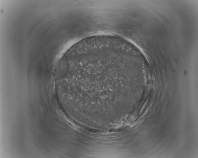 X0000071861367200607141804