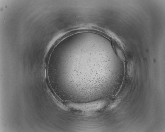 X0000071861368200607141804