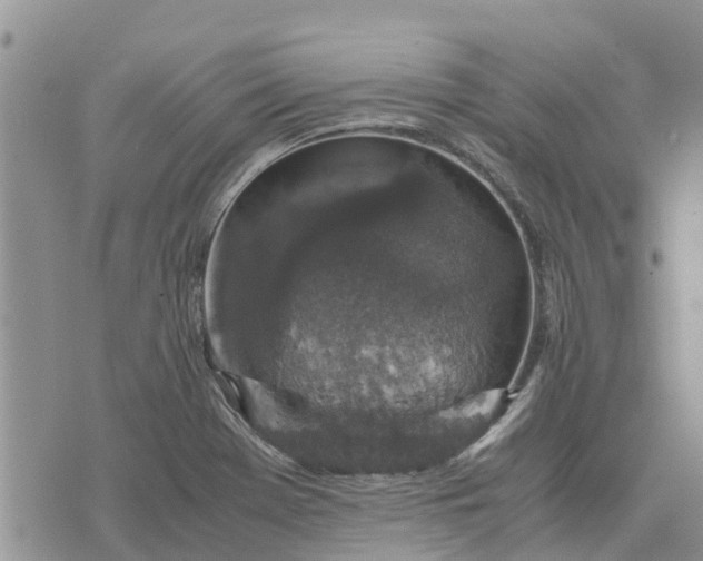 X0000071861369200607141804