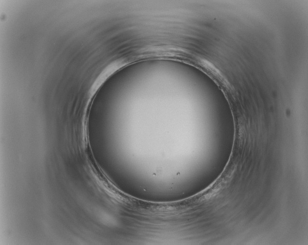 X0000071861370200607141804