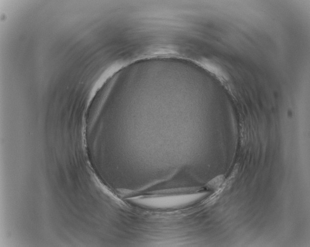 X0000071861374200607141804