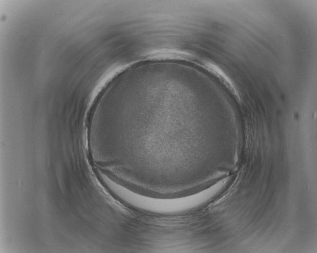 X0000071861376200607141804