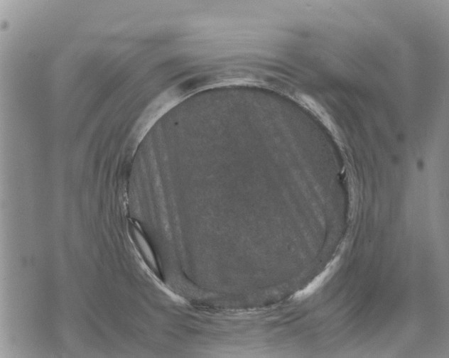 X0000071861377200607141804