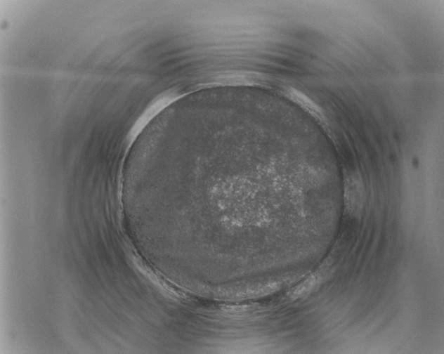 X0000071861378200607141804