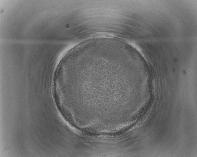 X0000071861379200607141804