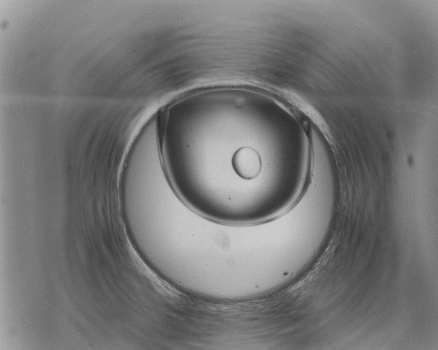 X0000071861380200607141804