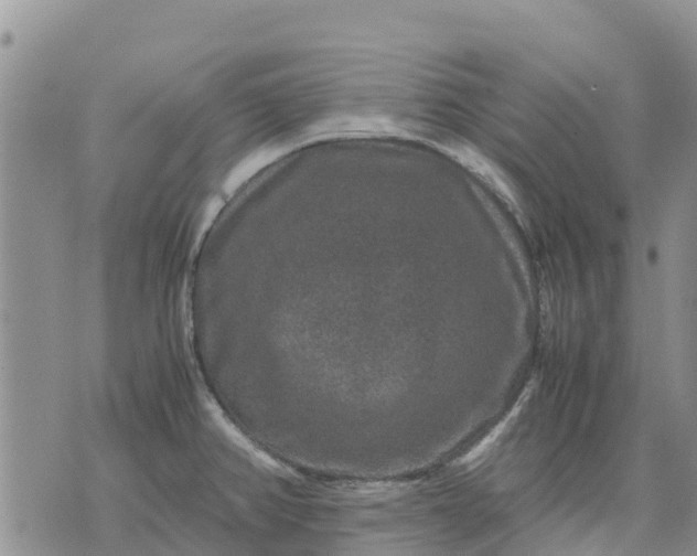 X0000071861382200607141804