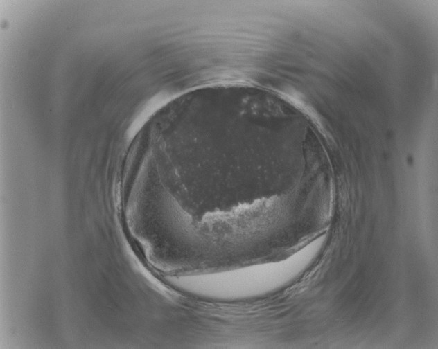 X0000071861383200607141804