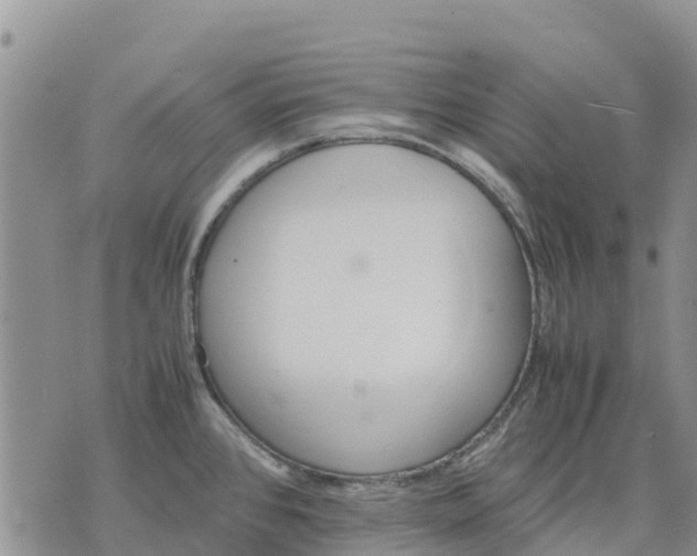 X0000071861384200607141804