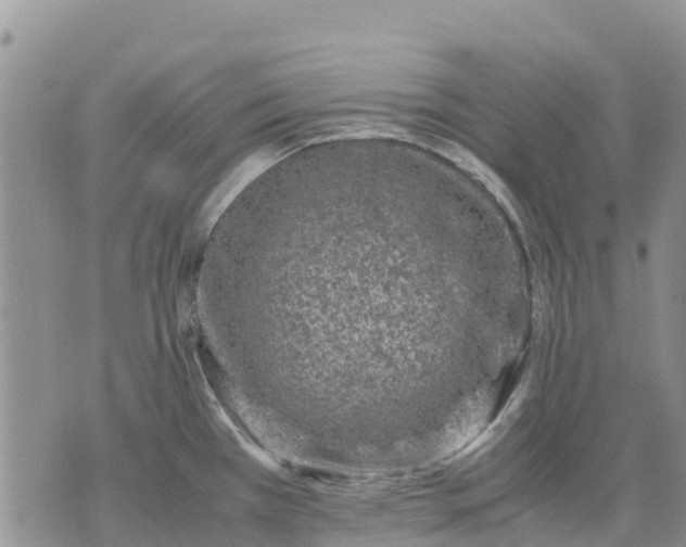 X0000071861385200607141804