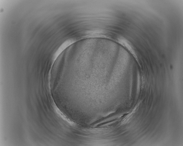 X0000071861386200607141804