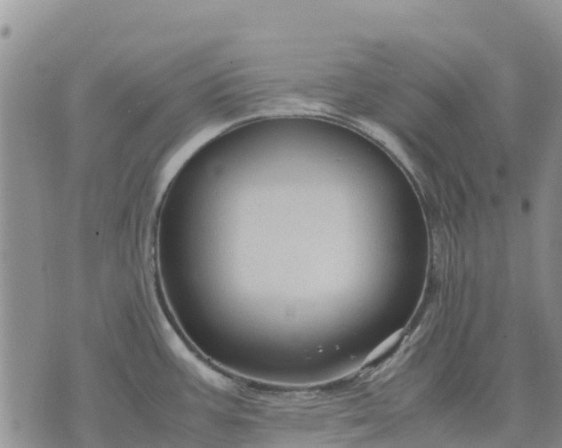 X0000071861387200607141804