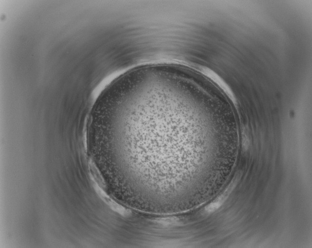 X0000071861388200607141804