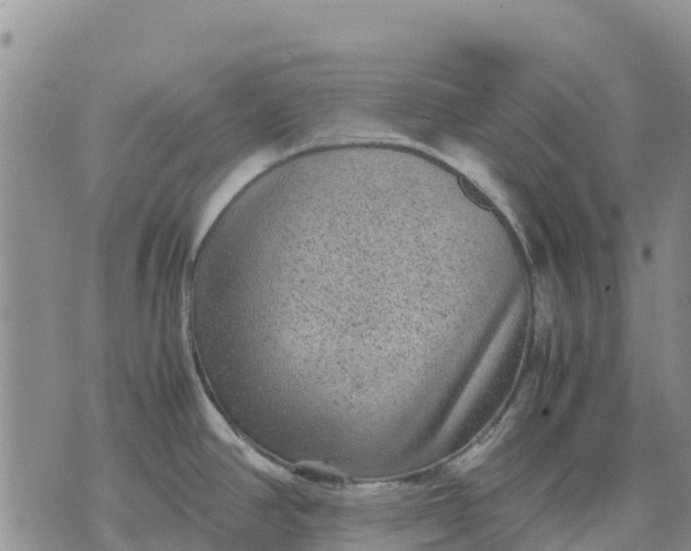 X0000071861390200607141804