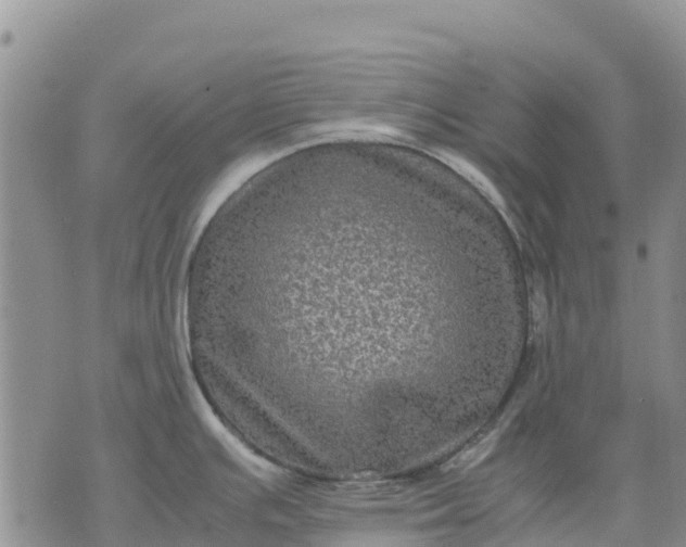 X0000071861391200607141804