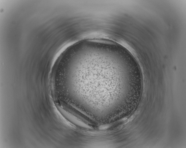 X0000071861392200607141804