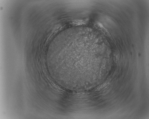 X0000071861393200607141803