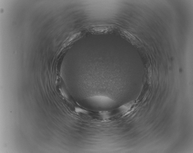 X0000071861394200607141803