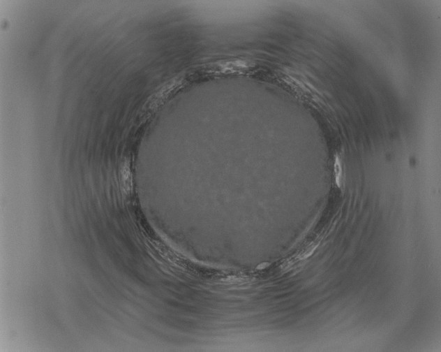 X0000071861395200607141803