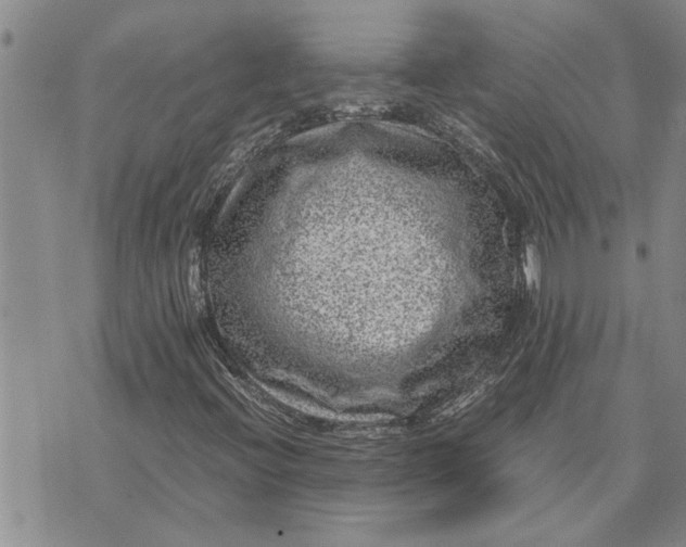 X0000071861396200607141803