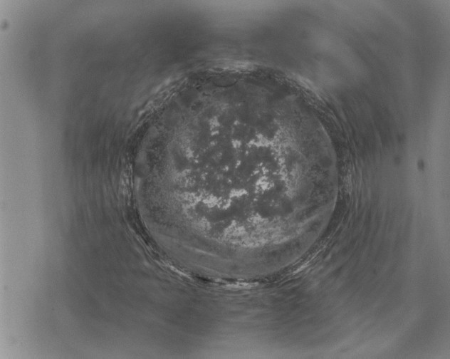 X0000071861397200607141803