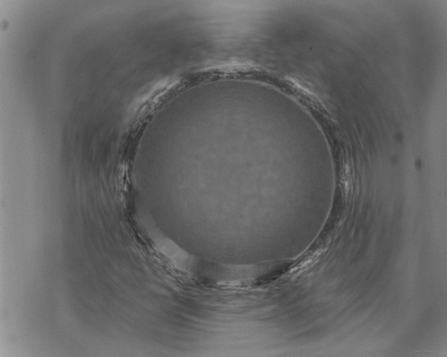 X0000071861398200607141803