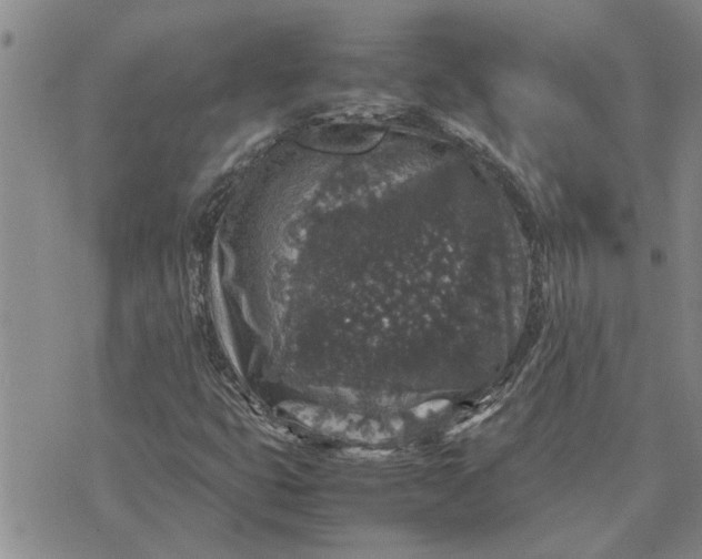 X0000071861399200607141803