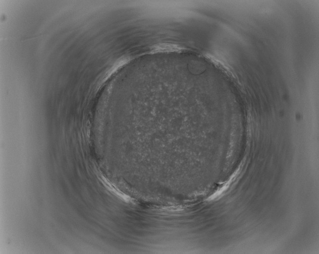 X0000071861401200607141803