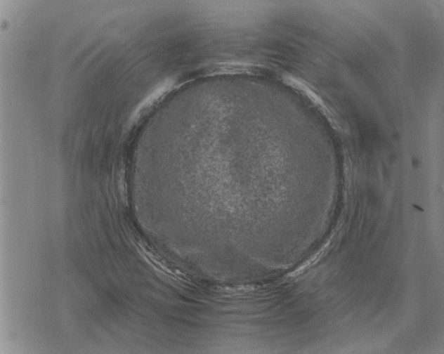 X0000071861403200607141803