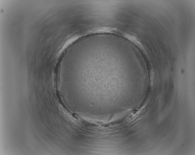 X0000071861404200607141803