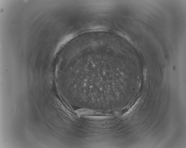 X0000071861405200607141803