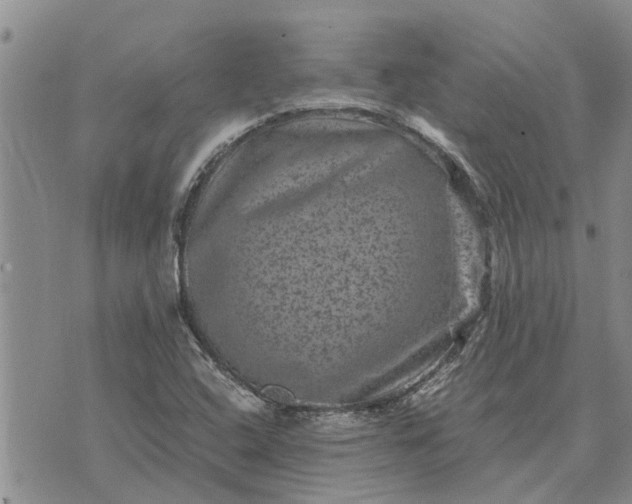 X0000071861408200607141804