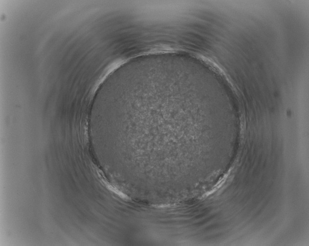 X0000071861409200607141804