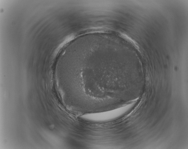 X0000071861411200607141804