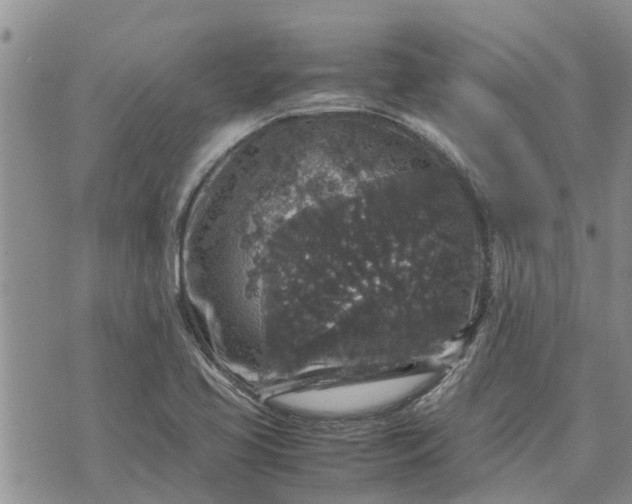 X0000071861413200607141804