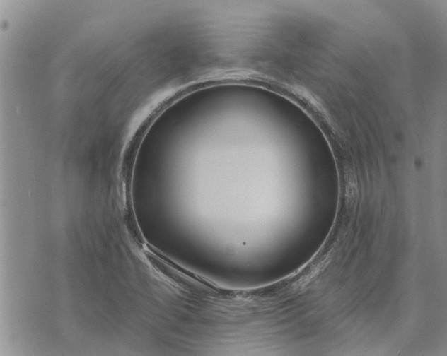 X0000071861414200607141804