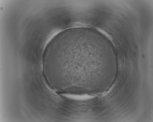 X0000071861415200607141804