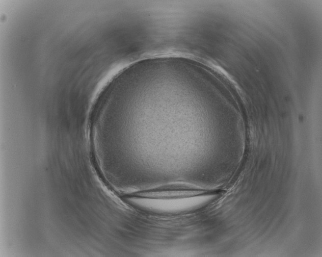 X0000071861416200607141804