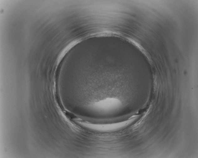 X0000071861418200607141804