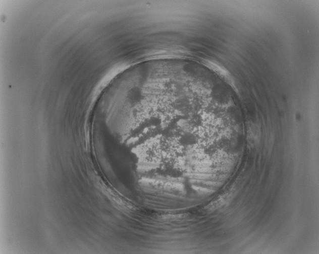 X0000071861419200607141804